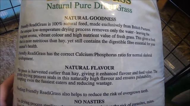 Readi Grass Product Review for Guinea Pigs смотреть онлайн