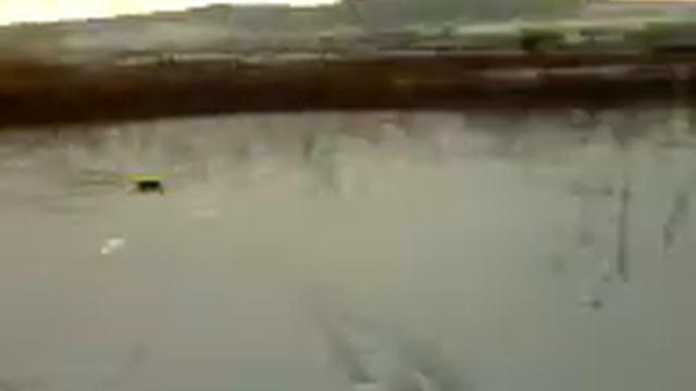 Ловля щуки зимою смотреть онлайн