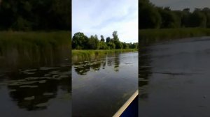 лодка Романтика 2 мотор болотоход 7 л.с.р.Теза.