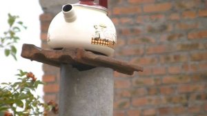 weihrauch HW 100т на 100 метров