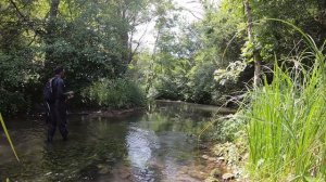 Pêche de la truite en Meurthe et Moselle pendant la canicule