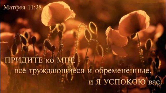 Любовь Христа/Красивое песнопение. Борис Бережной