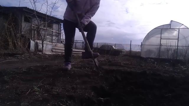 Посеяла семена моркови смотреть онлайн