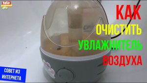 Как почистить увлажнитель воздуха