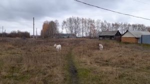 Село Турдаки Пензенской области