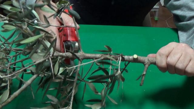 Аккумуляторный секатор плюсы и минусы. смотреть онлайн