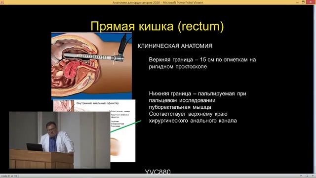 Анатомия и физиология толстой кишки, заднего прохода и тазового дна. Часть 2