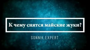 Что означают сны, связанные с жуками - положительные и отрицательные значения