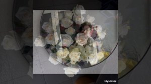 Флористика