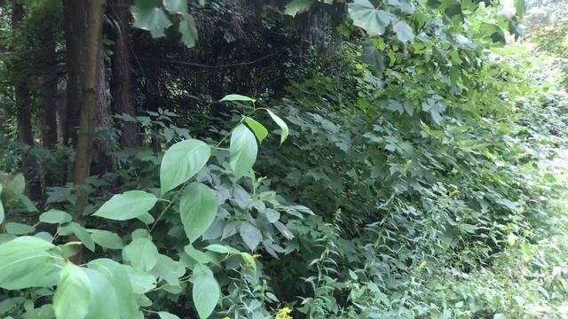 СТАЛ ДЕЙСТВОВАТЬ РЕШИТЕЛЬНО.Поучительные истории из жизни.Интересные жизненные истории.Аудио Расска