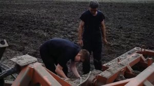 Разобрали СТАРЫЙ комбайн вектор и УЖАСНУЛИСЬ! Горох взошел!