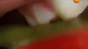 Откуда появился человек на нашей планете