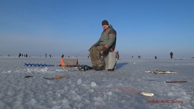 Воевода остров Русский навага 2020 смотреть онлайн