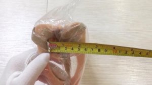 Фаллопротез 18,5 x 4.5 см EGZO