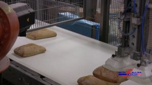 Линия упаковки замороженного хлеба Pattyn