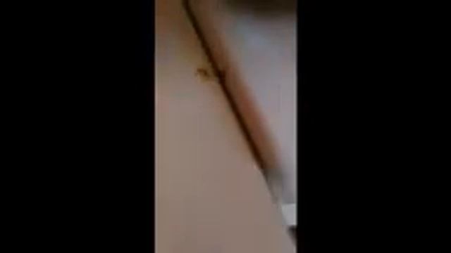 варю пельмени смотреть онлайн