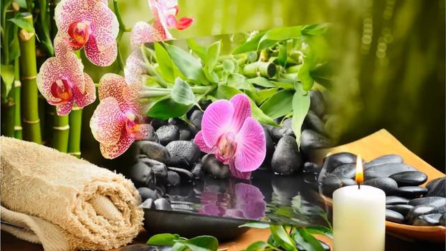 Сибирские первоцветы. Красивое видео. Siberian primroses . Beautiful video. смотреть онлайн