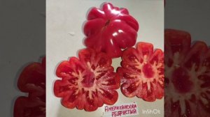 Обзор томатов Сияние Вавилона , Десперадо  , Американский ребристый , Ренегад и  Козула 156 .