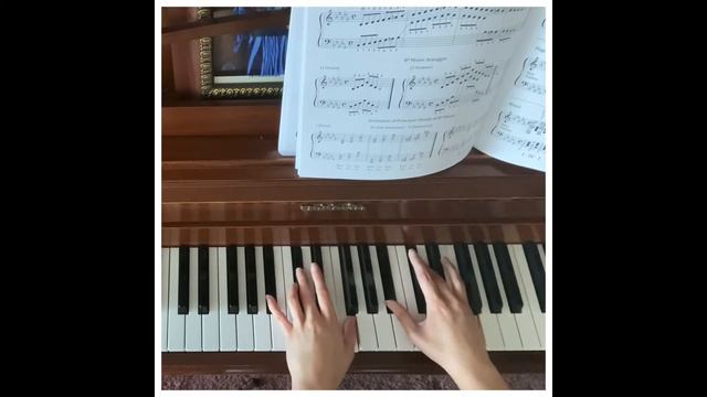 B flat Major & B flat minor cadences, Harmonization: French and my solo “Quadrille” смотреть онлайн
