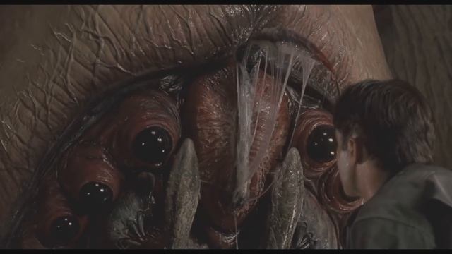Арахниды (происхождение, характеристики, виды ). Все про монстров Arachnids