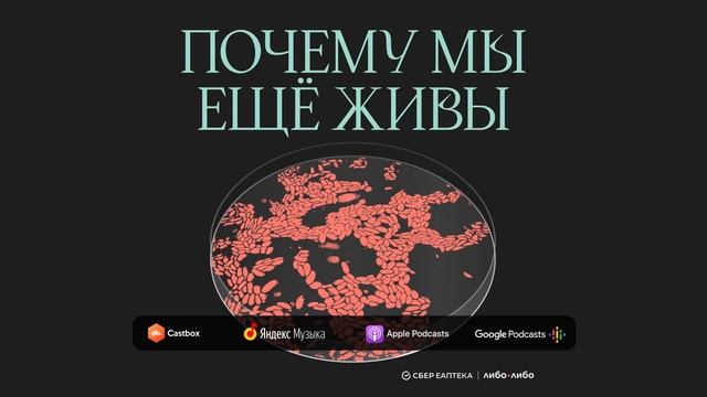 Финал сезона: история доказательной медицины | Подкаст Почему мы ещё живы