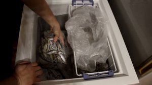 Кормление речной рыбой