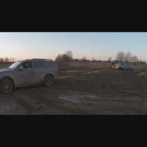 пафик решает #shorts