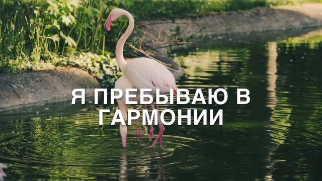 Аффирмации ✩Исполнение желаний