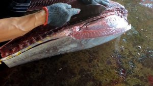 Perfect Yellowfin Tuna Cutting - Taiwan's Top Master