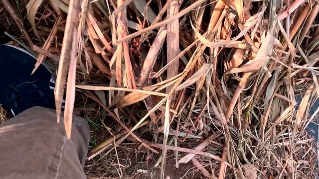 1.11. Анапа. смотреть онлайн