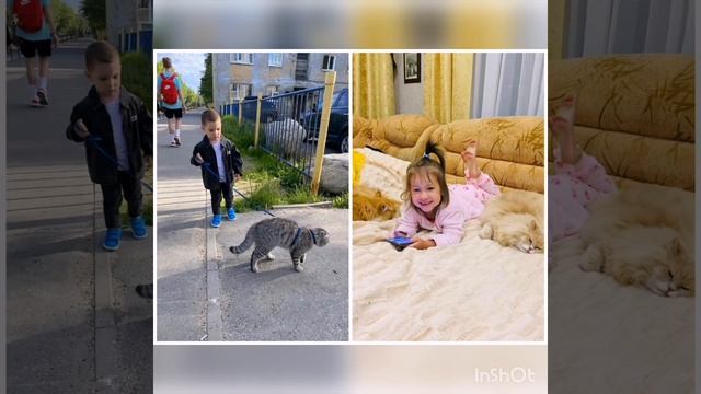 Всемирный день животных смотреть онлайн