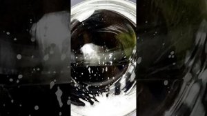 Стирка черных вещей Быстрая стирка 30'30°800 процесс стирки