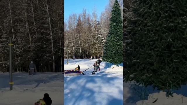 🥞Первый день Масленицы - праздник солнца, весны и веселья!