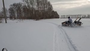 Охота на зайца 2023 год Новосибирская область