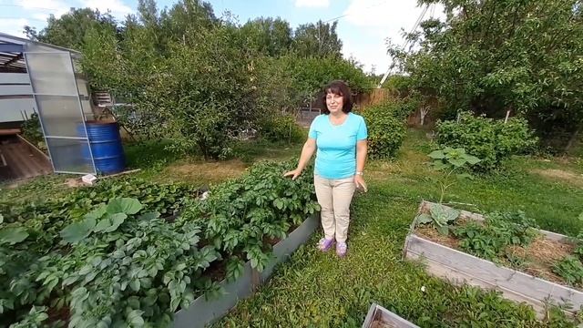 Давайте знакомиться! Моя дача.