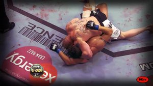 BROCK LESNAR vs FRANK MIR II HL
