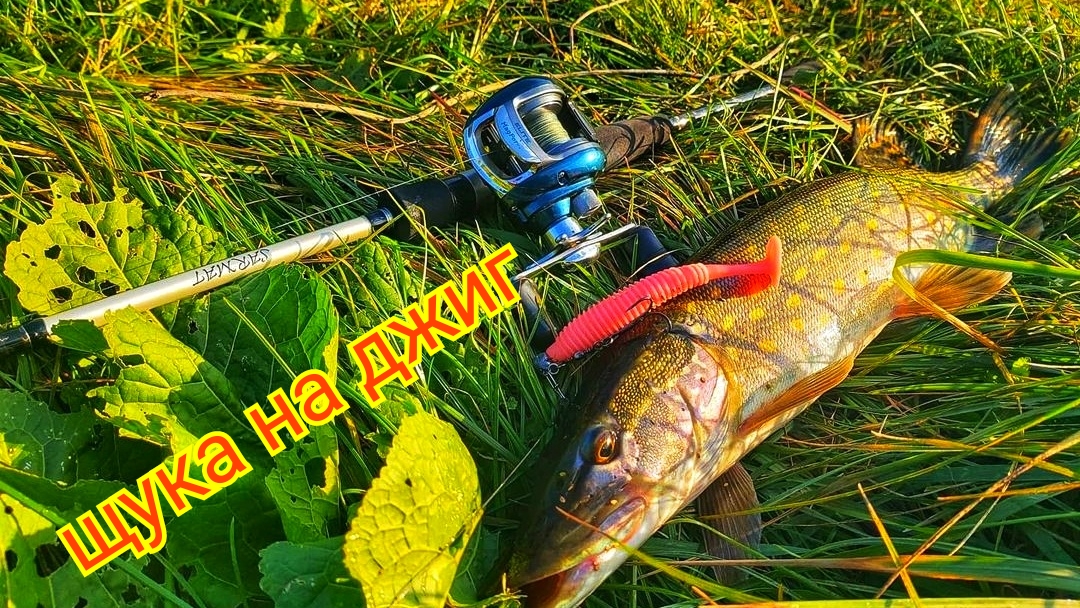 ловля щуки на спиннинг(рыбалка на спиннинг)