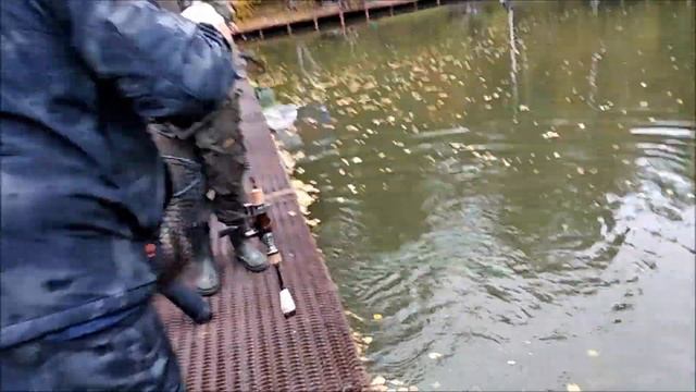 Форель клевала на воблеры. Кривой "китайский" воблерок ловил не хуже оригинала. Клёвое место смотреть онлайн