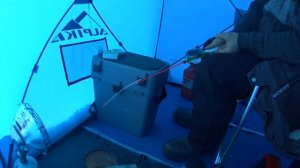 Аргази 09.03.15 Аракаево