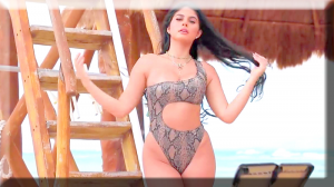 Jony - Cometa (Leo Burn ft. TPaul Live Saxophone Mix) - Girl in Bikini