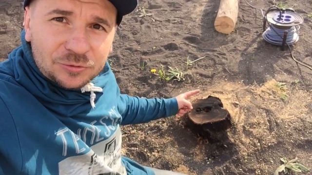 Проверка двух способов из интернета избавиться от пня. При помощи огня и калиевой селитры. смотреть онлайн