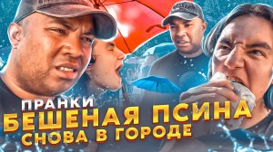 ПРАНКИ- БЕШЕННАЯ ПСИНА СНОВА В ГОРОДЕ/ АРХИТЕКТОР/ ДЕНЬ ПРИКОСНОВЕНИЙ