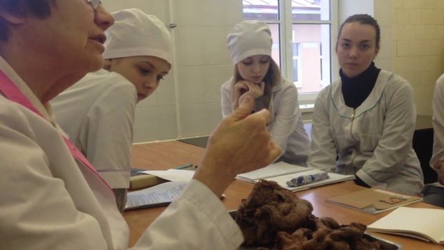 Анатомия прямой кишки (Rectum)