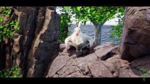 Funny Chicken Song And Dancing Rooster Funny Chicken Dance (Official Video)