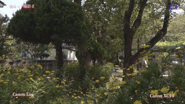 《4K動画》Canon XC10ルッ撮影2（Canon XC10） смотреть онлайн