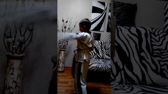 Сдача на 7кю тэкэндо смотреть онлайн