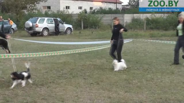 FCI-9 смотреть онлайн