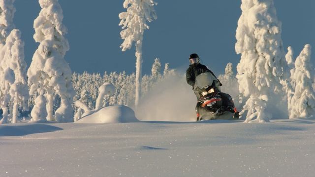 Lynx Commander  Lynx Lineup 2020