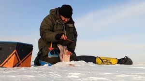 В этом месте можно поймать любую рыбу. Рыбалка на глубоководных свалах.