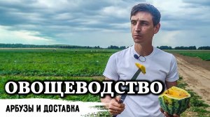 Овощеводство // 150 гектар - самая большая и подробная экскурсия